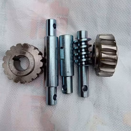 Parti della trasmissione della ruota elicoidale con lavorazione a vite senza fine e ingranaggio a vite senza fine OEM